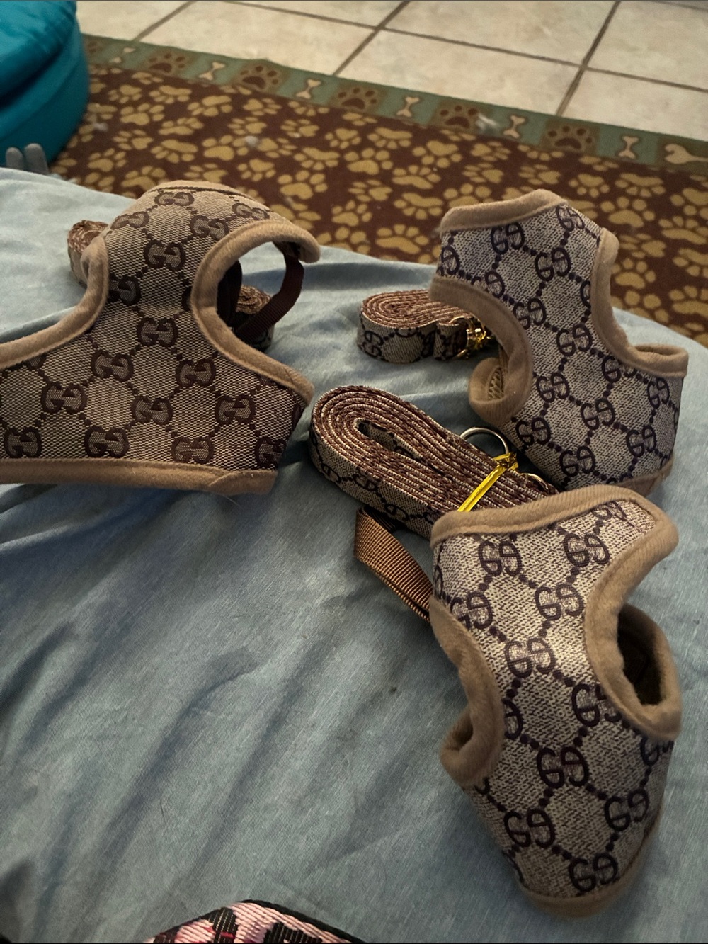 Two extra small harness sets and one small harness set with matching leashes
